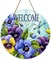 Welcome Spring Summer Floral Flower Sign for Front Door Decor, Pansy Dragonfly Wood Door Hanger for Outdoor Outside Porch, Seasonal Vintage Wooden Wreath Indoor Wall Hanging Decoration
